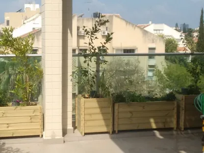 אדניות עץ וצמחים במרפסת שביצענו
