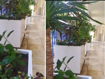 אדניות שתולות בתנאי צל מבט 1