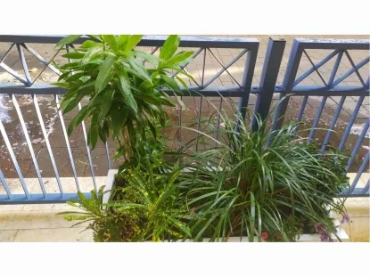 לריופה קודן ודרצנה גמיקה בפיבר