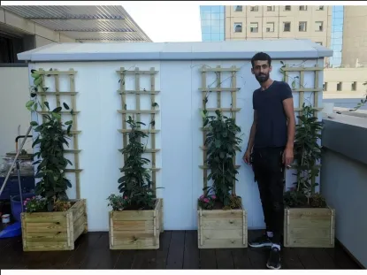 סטפנוטיס מטפס בתנאי צל