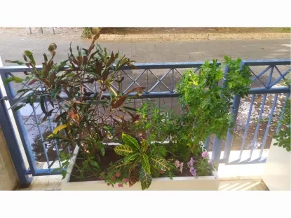 קודנים ודורנטה בפיבר