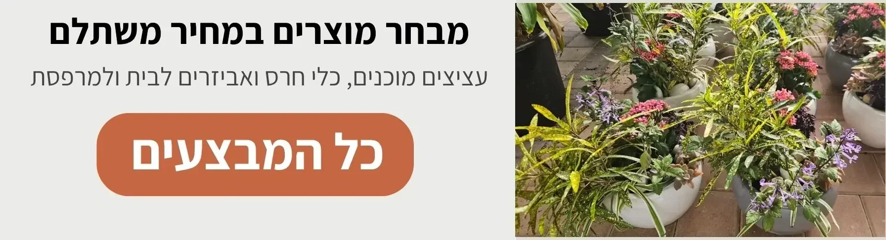 גלו מבחר מוצרים במחיר משתלם | קל שתיל