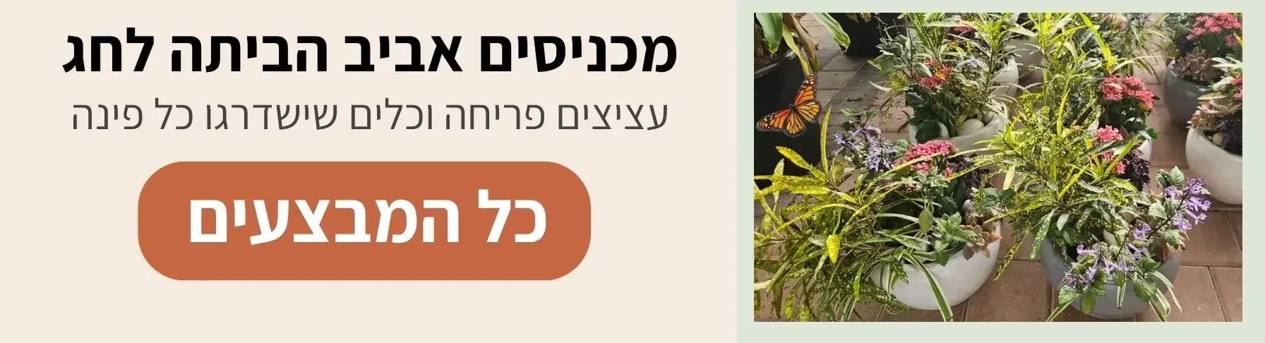 גלו מבחר מוצרים במחיר משתלם | קל שתיל
