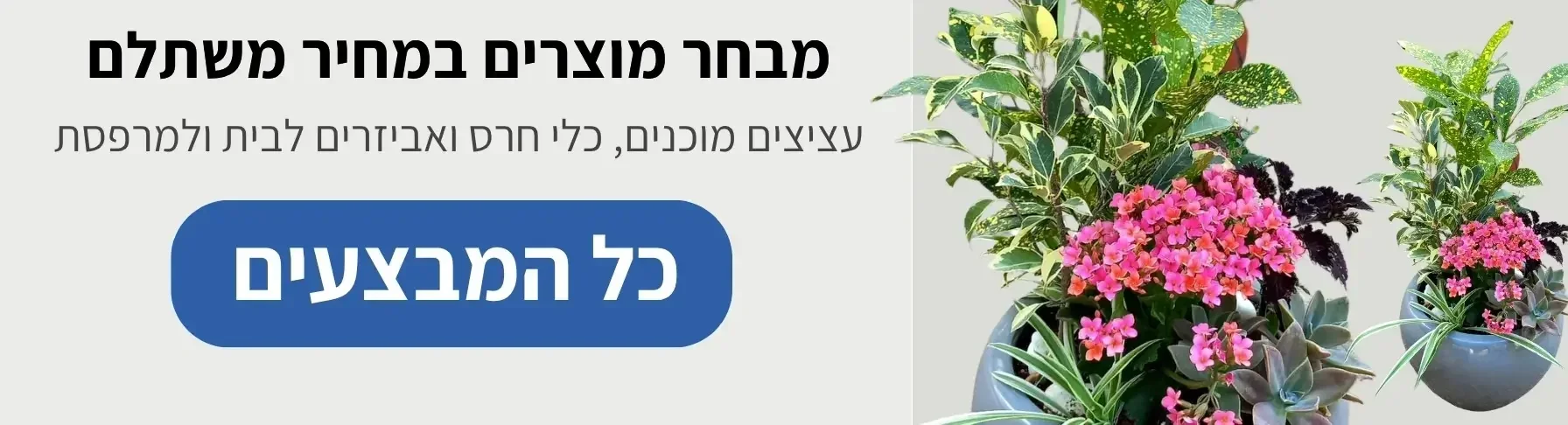 גלו מבחר מוצרים במחיר משתלם | קל שתיל