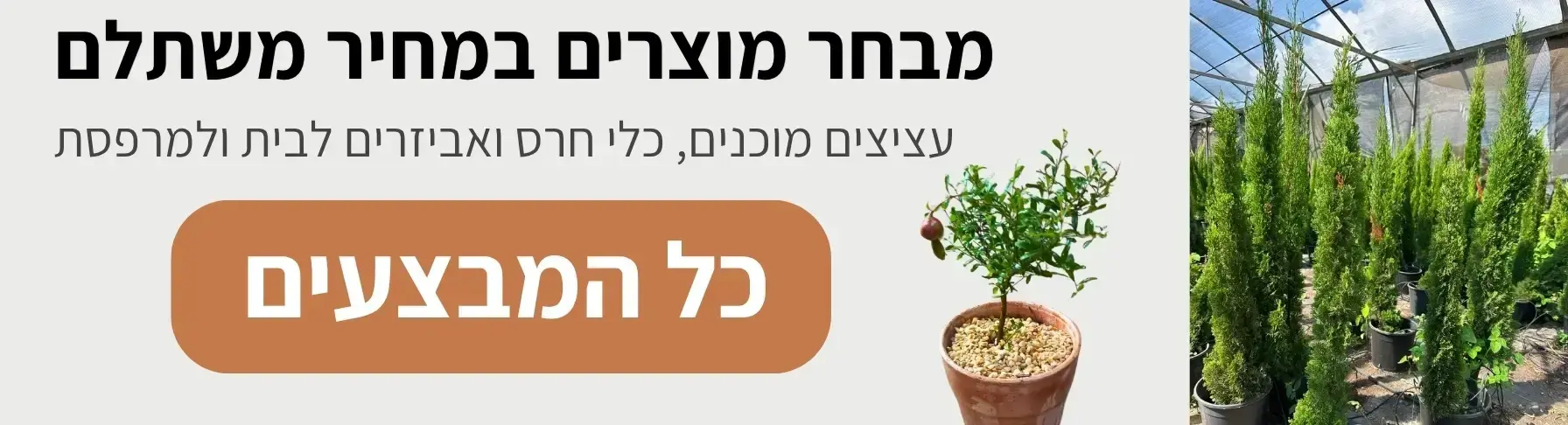 גלו מבחר מוצרים במחיר משתלם | קל שתיל