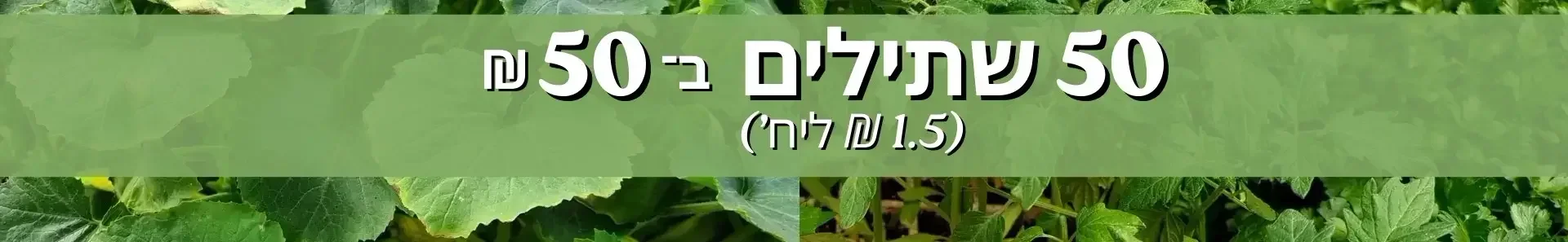 שתילי ירקות אורגנים במבצע