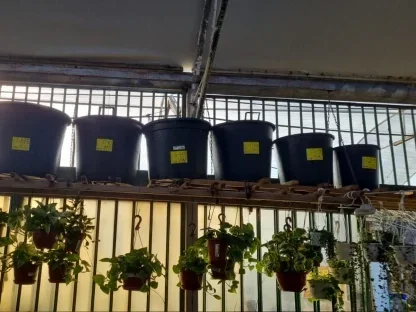 מכל שתילה שחור בנפח נומינלי של 340 ליטר