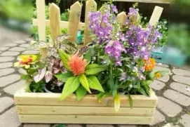 מתנות אדנית מעוצבת פורחת לטו באב