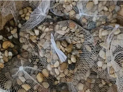 חלוקי נחל לקישוט ונוי