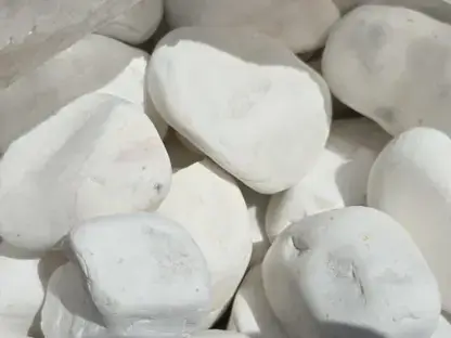 חלוקי נחל לבן שלג