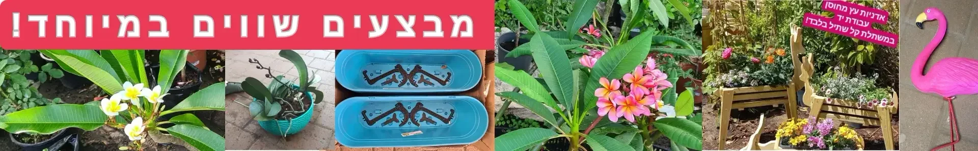 מבצעים שווים במיוחד באתר!