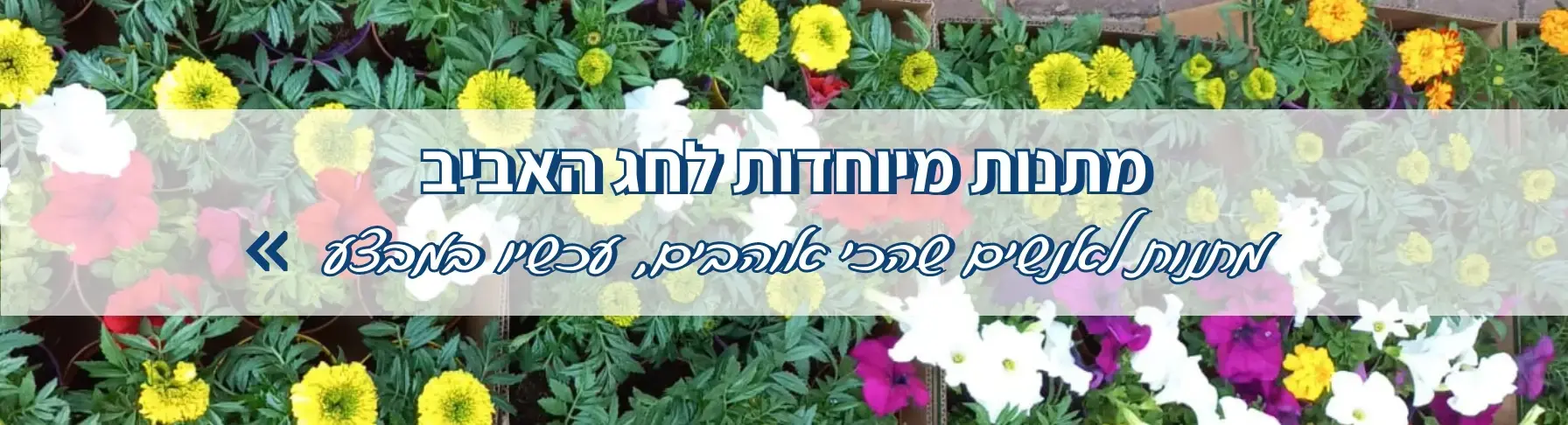 מתנות מיוחדות לחג האביב - מתנות לאנשים שאוהבים באמת עכשיו במבצע