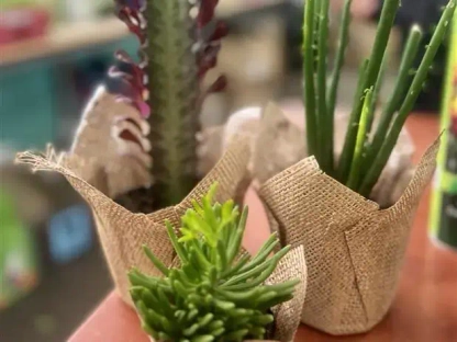 עטיפה בקוטר 8 ס"מ מיוטה