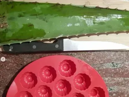 אלוי כיצד להכין