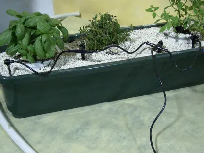 השקיה זעירה באדנית 60