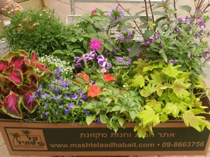פורחים ותבלינים במיקס משתלם