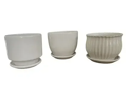 שלושתם בלבן – עציצי חג עם תחתית קבועה