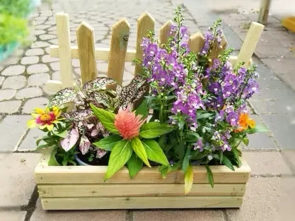 ארגזי עץ מעוצבים פורחים ואדניות עץ שתולות קומפלט תוצרת קל שתיל לטו באב ולכל הזדמנות