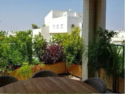 כל הכתבות, המדריכים, המידע,