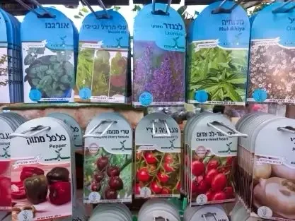 חפיסות זרעים ספטמבר 2025