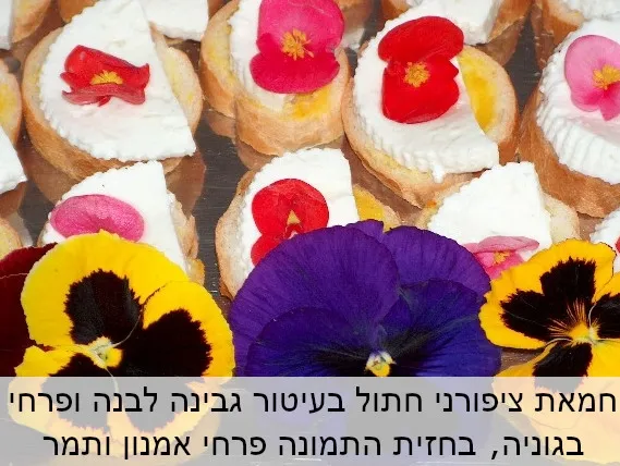 כריכים מעוטרים בפרחי מאכל