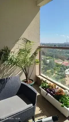 דקל משולש במרפסת גבוהה – דוגמה לצמח בעל נוכחות המתאים לכלי גדול.
