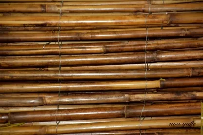 גדר 1 מ' מלופף