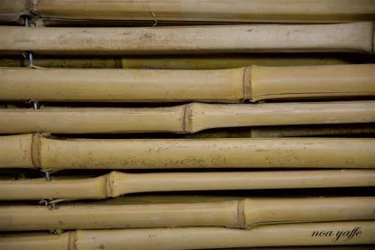 גדר 1.2 מ' גובה מושחל 14-16 אורך 5