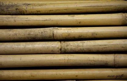 גדר 2 מ' גובה מושחל 14-16 אורך 2