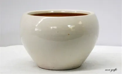 עציץ סייגון 011 לבן