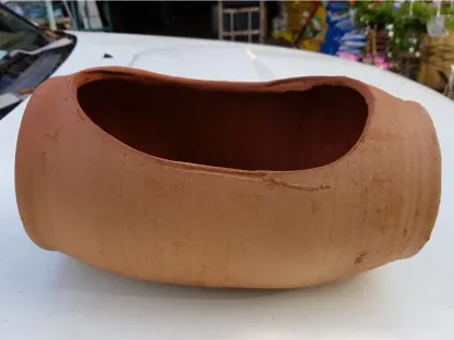 עציץ שוכב, עציץ אופקי, עציץ מיוחד,