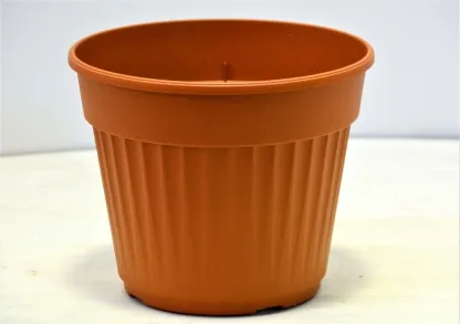 עציץ נרקיס 020 ללא תחתית טרקוטה