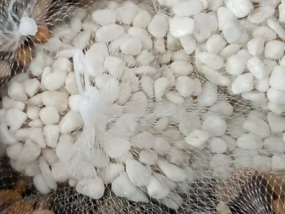 חלוקי נחל לקישוט