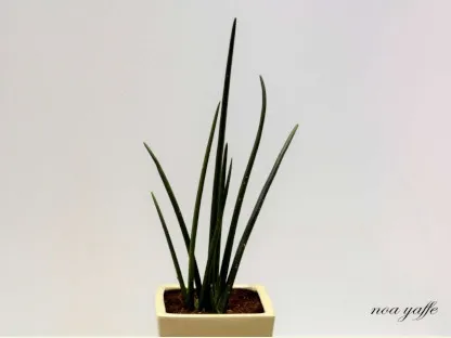 כידונן גלילני