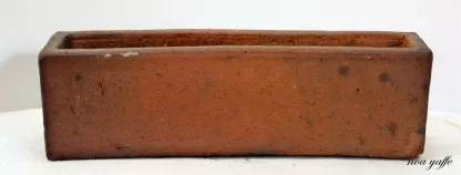 אדנית ויאטנמית