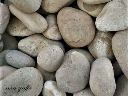 חלוקי נחל ניצן