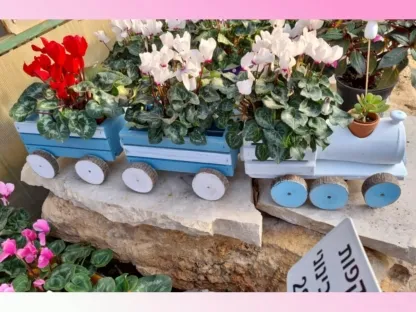 רכבת רקפות 2 קרונות וקטר קומפלט