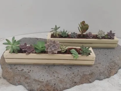 זוג אדניות עץ מתוצרת עצמית ובהן מיקס של סה"כ 14 סוקולנטים כל אחד בעציצון בקוטר 5 ס"מ מתנה לחובבי סוק