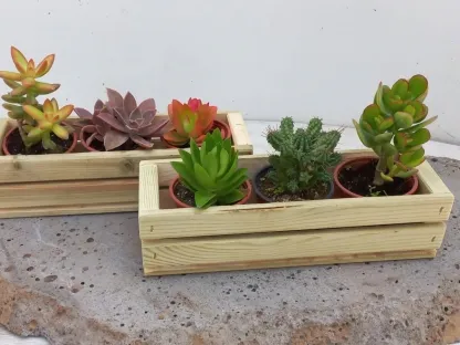 זוג אדניות עץ מתוצרת עצמית ובהן מיקס של סה"כ 6 סוקולנטים כל אחד בעציץ בקוטר 9 ס"מ מתנה לחובבי סוקולנ