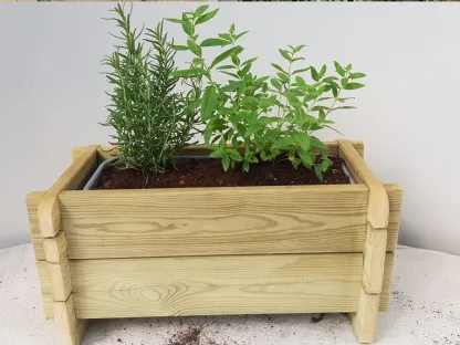 אדנית 40 תבלינים