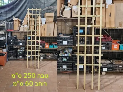 סולם הדליה מעץ למטפסים גובה 250 ס"מ
