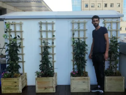 סטפנוטיס רב פרחים באדנית עץ בתנאי צל