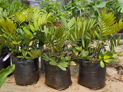 זמיה קשקשנית