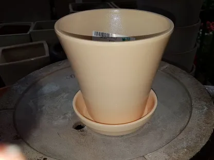 עציץ קוני מקרמיקה עם תחתית בקרם