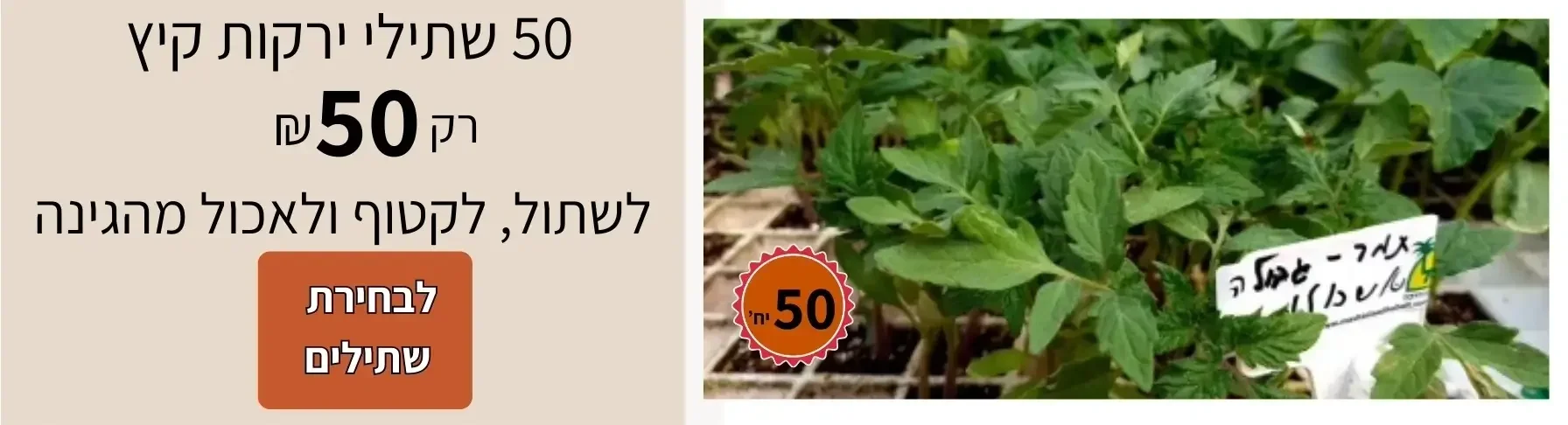 שתילי ירקות לעונה במבצע מגידול אורגני לחץ כאן | קל שתיל