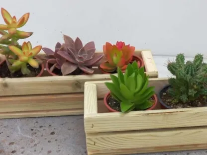 זוג אדניות עץ מתוצרת עצמית ובהן מיקס של 6 או 14 סוקולנטים מתוך המלאי המגוון של משתלת קל שתיל בגדלים