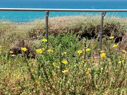 נר הלילה בקרבת הים