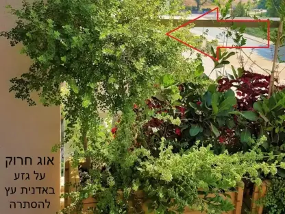 אוג חרוק במיכל בקוטר בסנטימטרים: 24 - 26