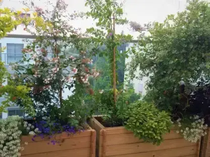 שובר הנחה לקניות במשתלה