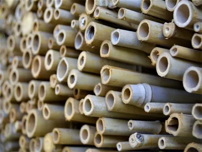 גדרות עץ ובמבוק